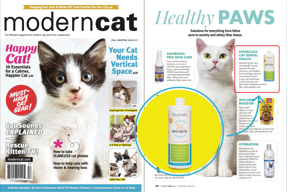 oxyfresh pet water additive next to article in Modern Cat magazine