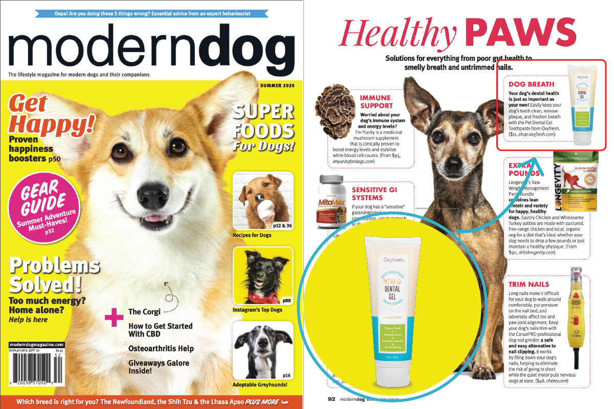 oxyfresh-pet-dental-gel-modern-dog-feature-article