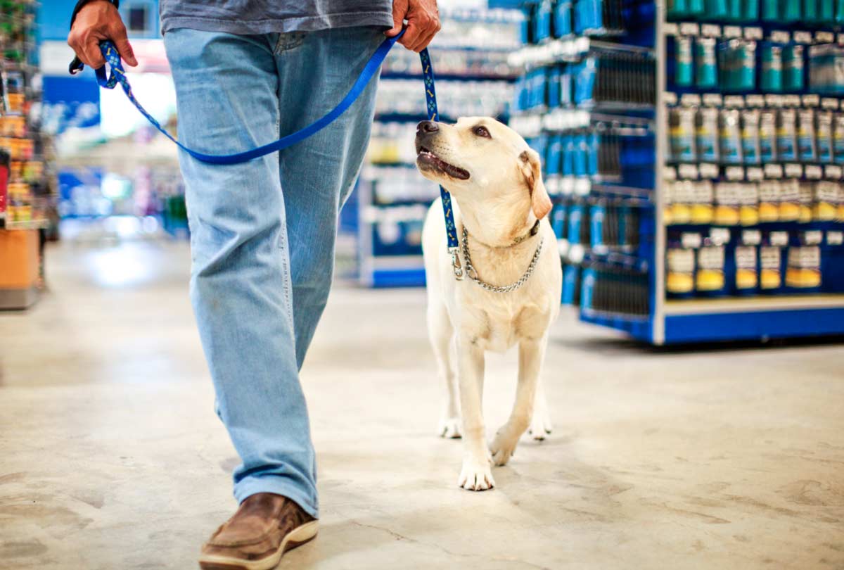 oxyfresh-pet-health-care-products-featured-image-of a dog being walked on a leash through a store for-blog-post-titled-Can-I-Take-My-Dog-Into-Home-Dep