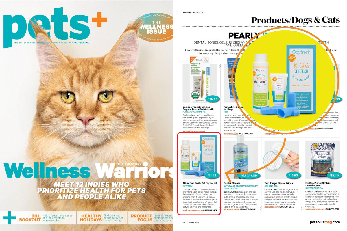 Oxyfresh Pet Dental Kit Featured in Pets+ 2020 Wellness Issue