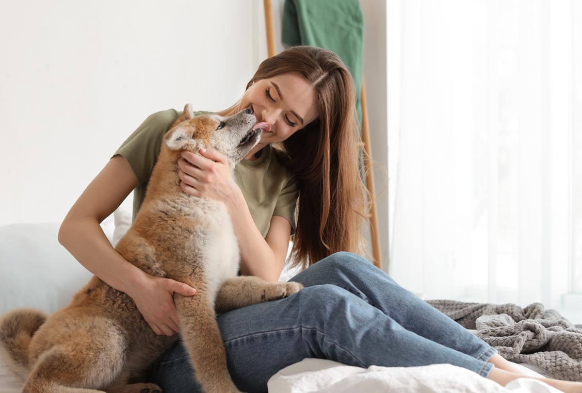 How to Fix Fishy Dog Breath No Toothbrushing Required