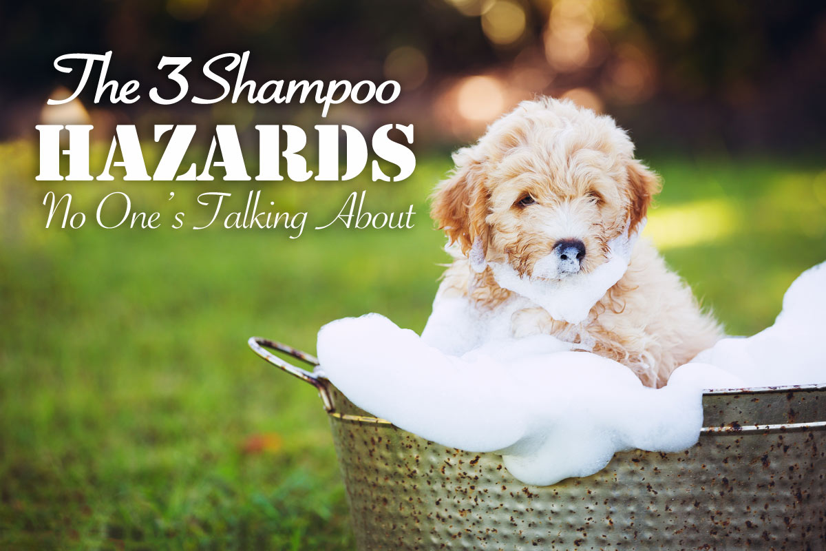 3 Shampoo Hazards No One is Talking About