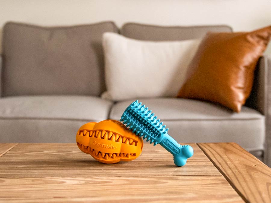Oxyfresh-Dental-Chew-Toy_copy_oxyfresh_dog_teeth_cleaning_toys_sitting_on_table