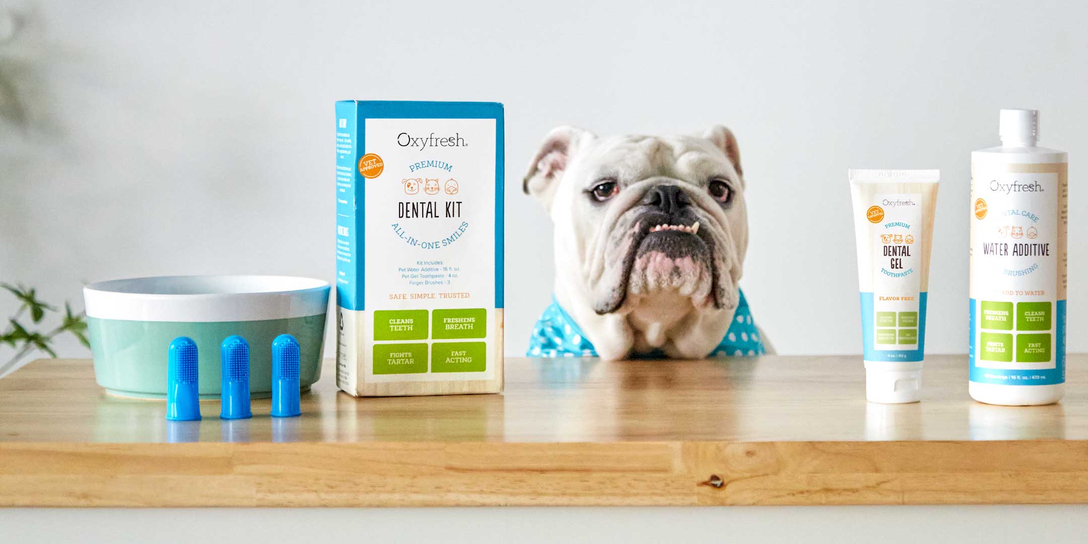 bulldog sitting at counter next to oxyfresh pet dental kit for easy fresh breath
