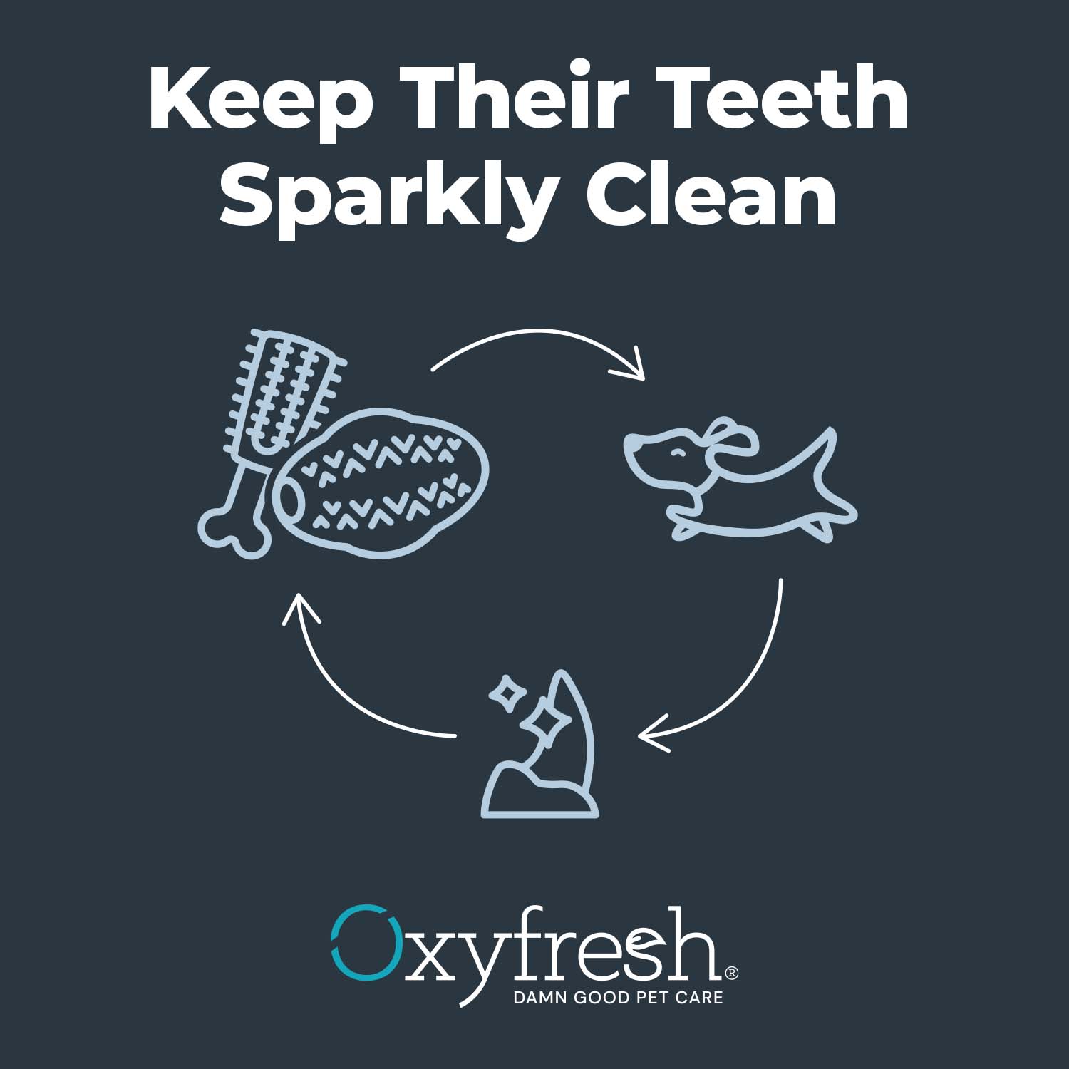 Oxyfresh_pet_chew_toy_directions_to_keep_their_teeth_sparkly_clean_play_with_them_with_the_dental_toy_and_their_teeth_get_clean_fast