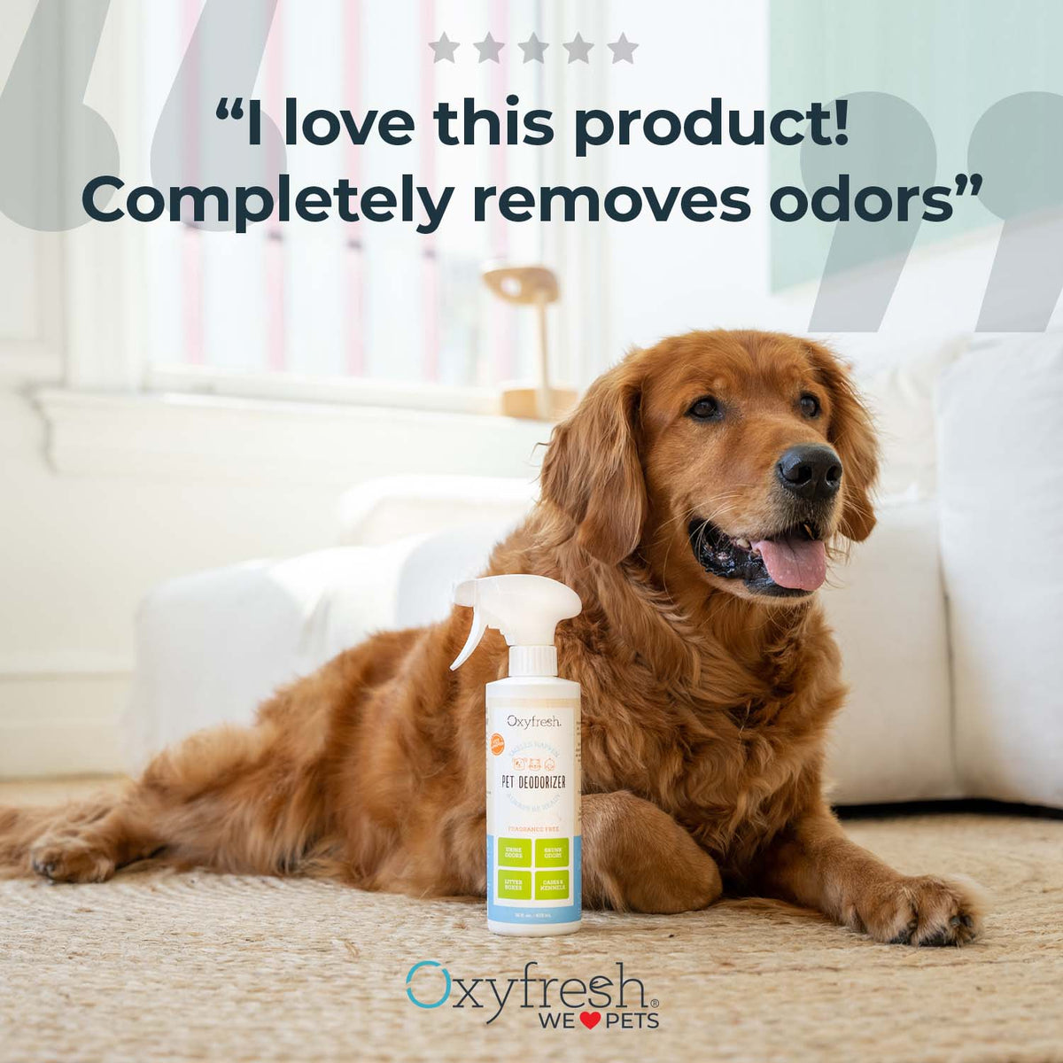 Smelly Cat & Stinky Dog Pet Odor Eliminator - Oxyfresh Pet Deodorizer