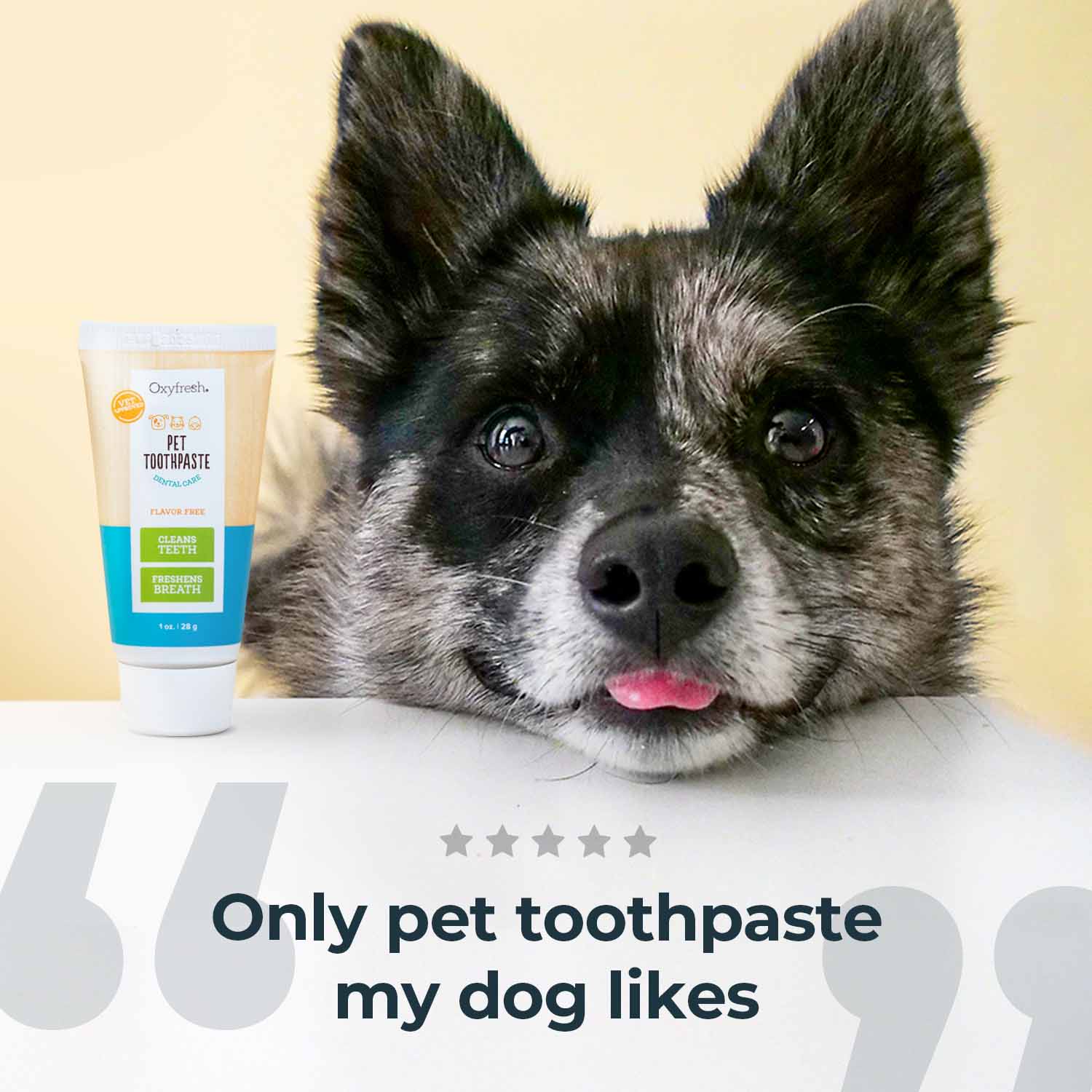 tube of oxyfresh pet toothpaste and cute pup with his tongue partially stuck out 