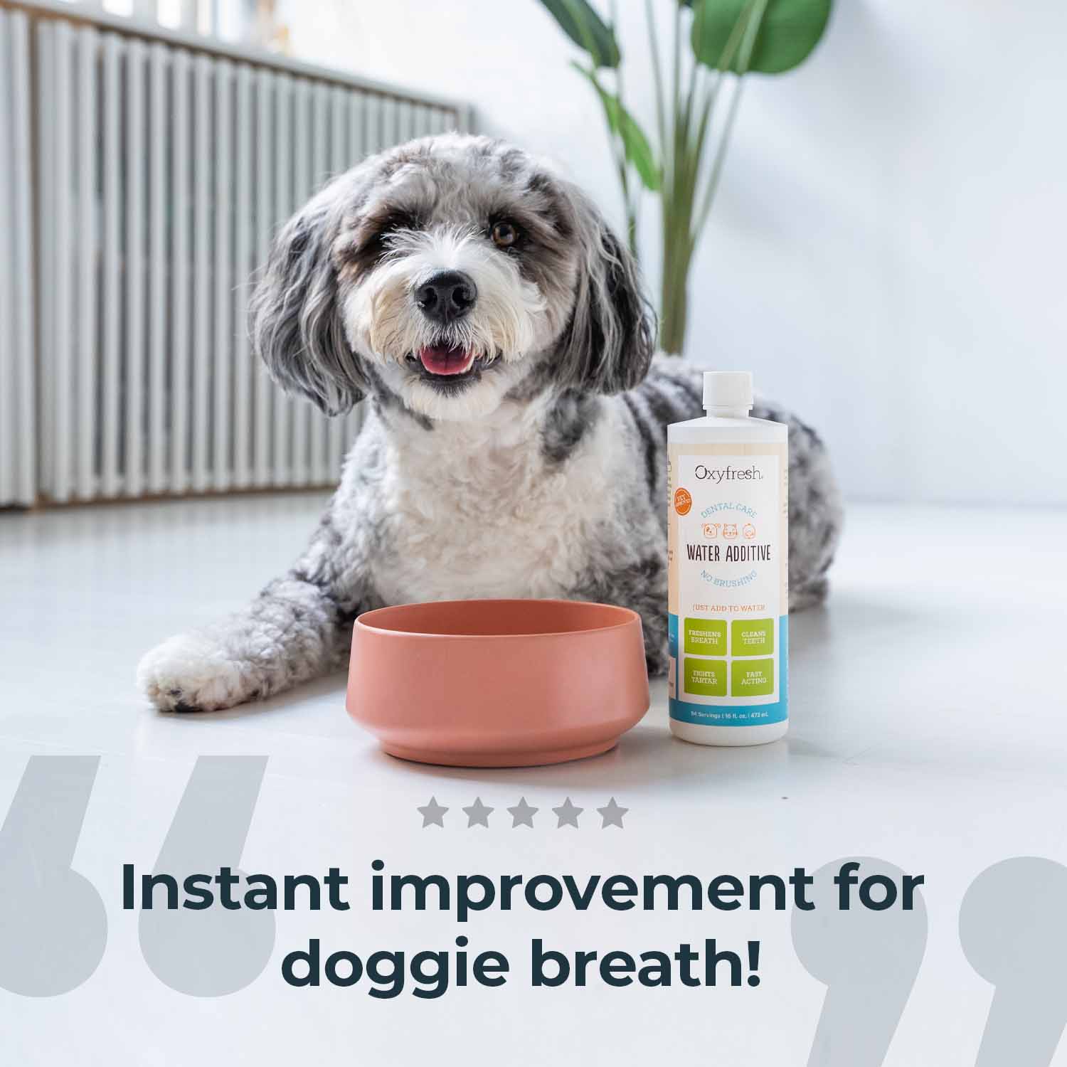 Best water additive for dog breath best sale