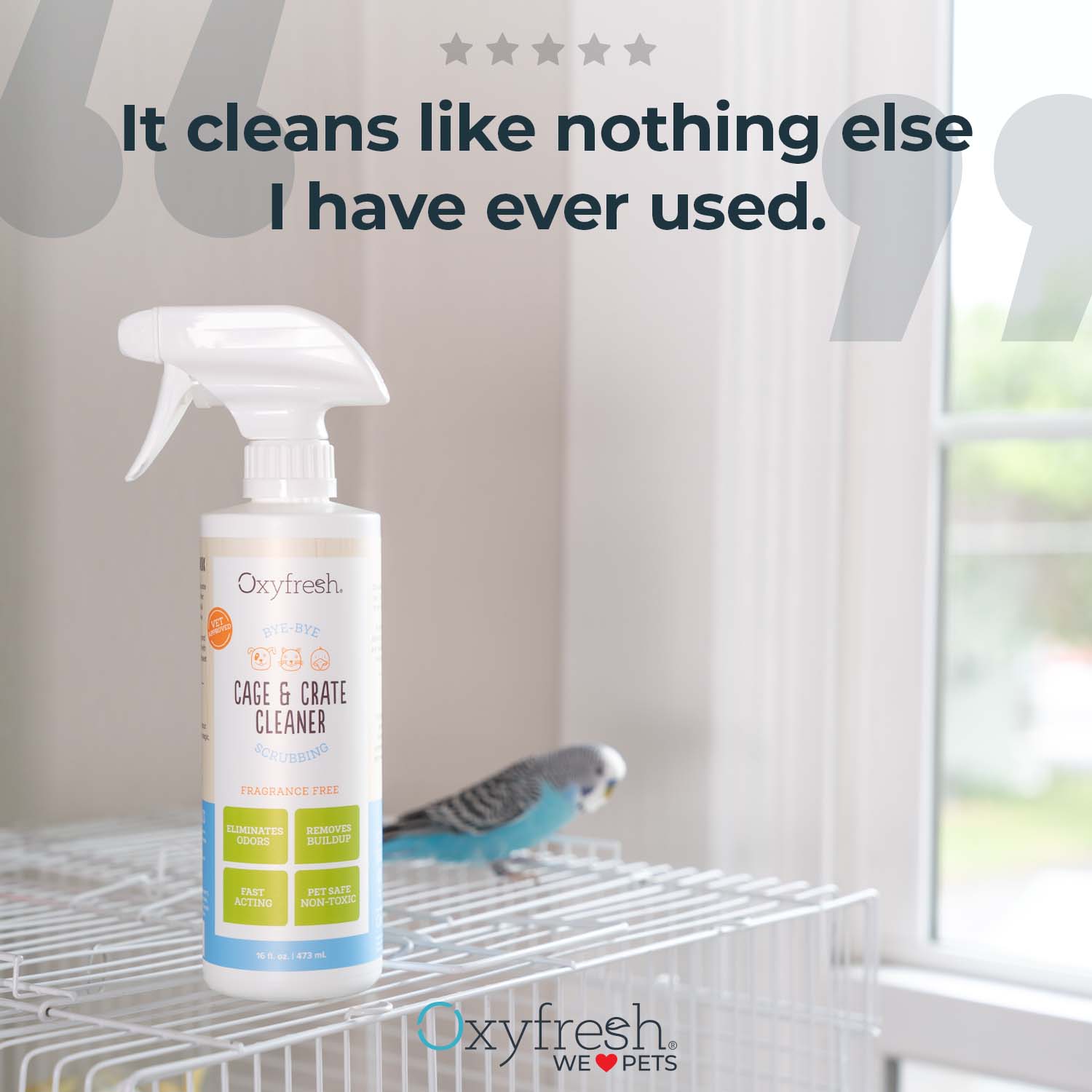 oxyfresh-pet-cage-and-crate-cleaner-review-"It-cleans-like-nothing-else-I-have-ever-used."