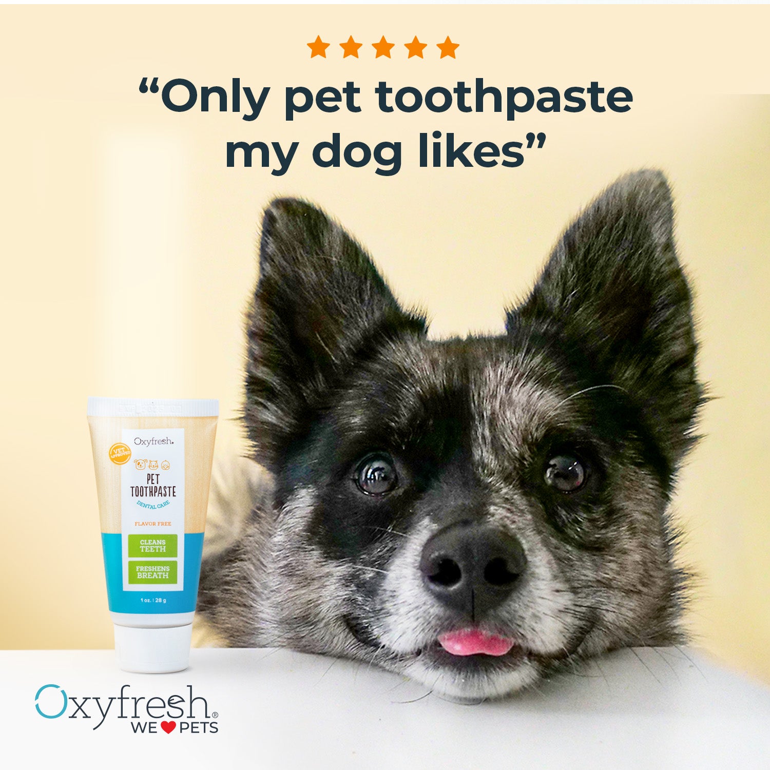 oxyfresh pet toothpaste and pup with her tongue stuck out with a 5-star review above that says "only pet toothpaste my dog likes" 