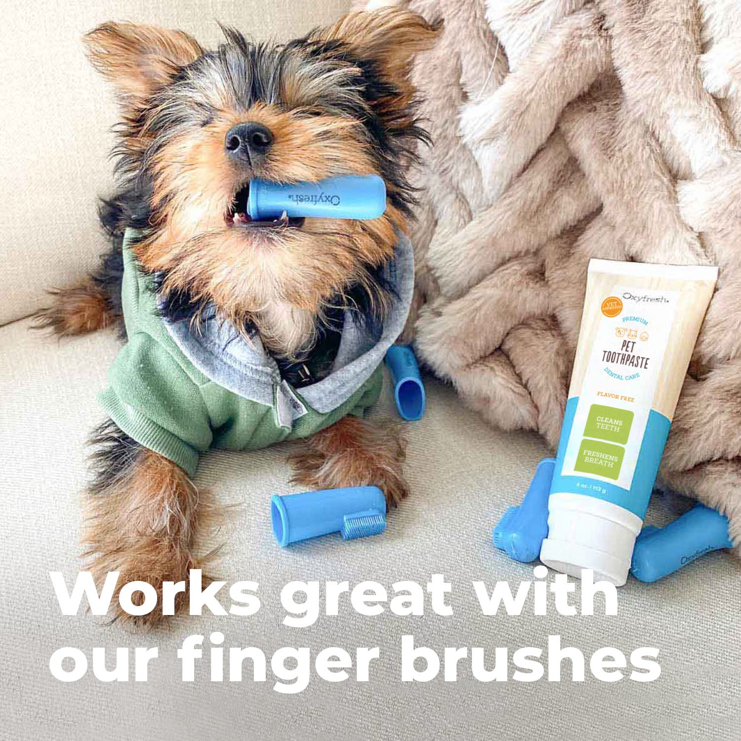 yorkie with a oxyfresh finger brush in her mouth next to a tube of pet toothpaste for fresh breath and clean teeth