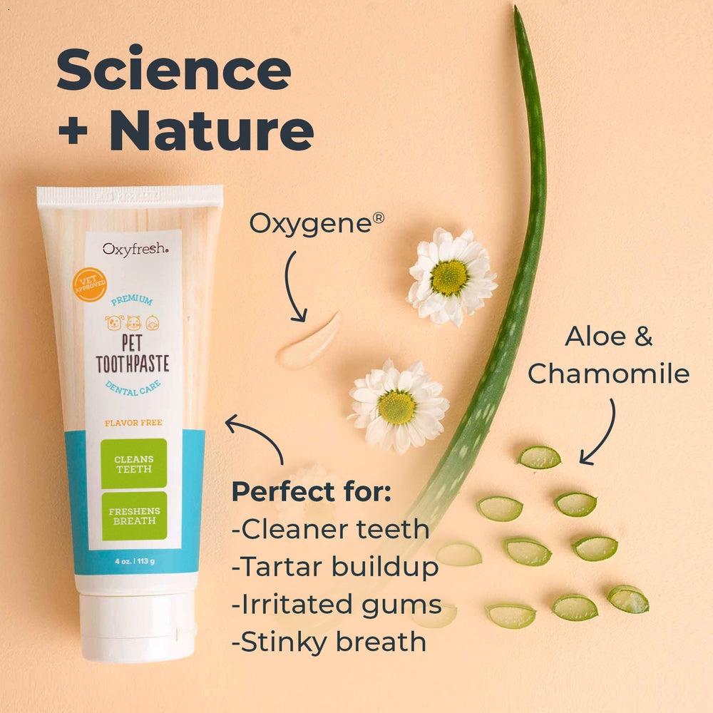 #1 Pet Toothpaste! Pet Parents Love Oxyfresh Dog and Cat Toothpaste to ...