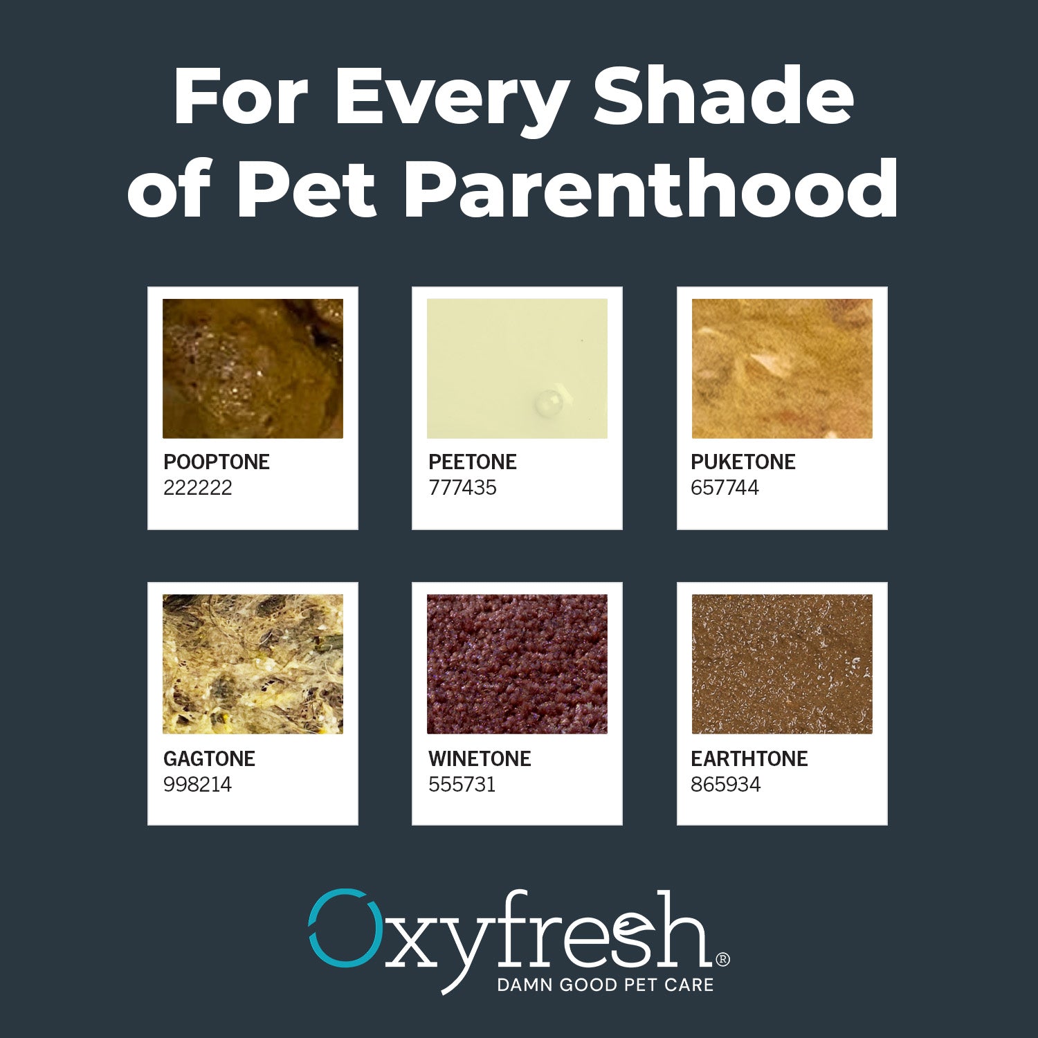 Advanced Pet Stain & Odor Remover - Best Way to Remove Stains