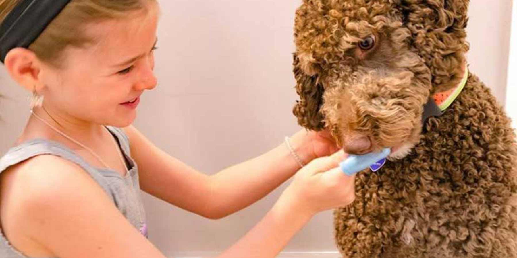 Social-Media-Post-From-Instagram-User-PDKmiathedoodette-girl-brushing-her-dogs-teeth-with-oxyfresh-finger-toothbrush-for-dogs