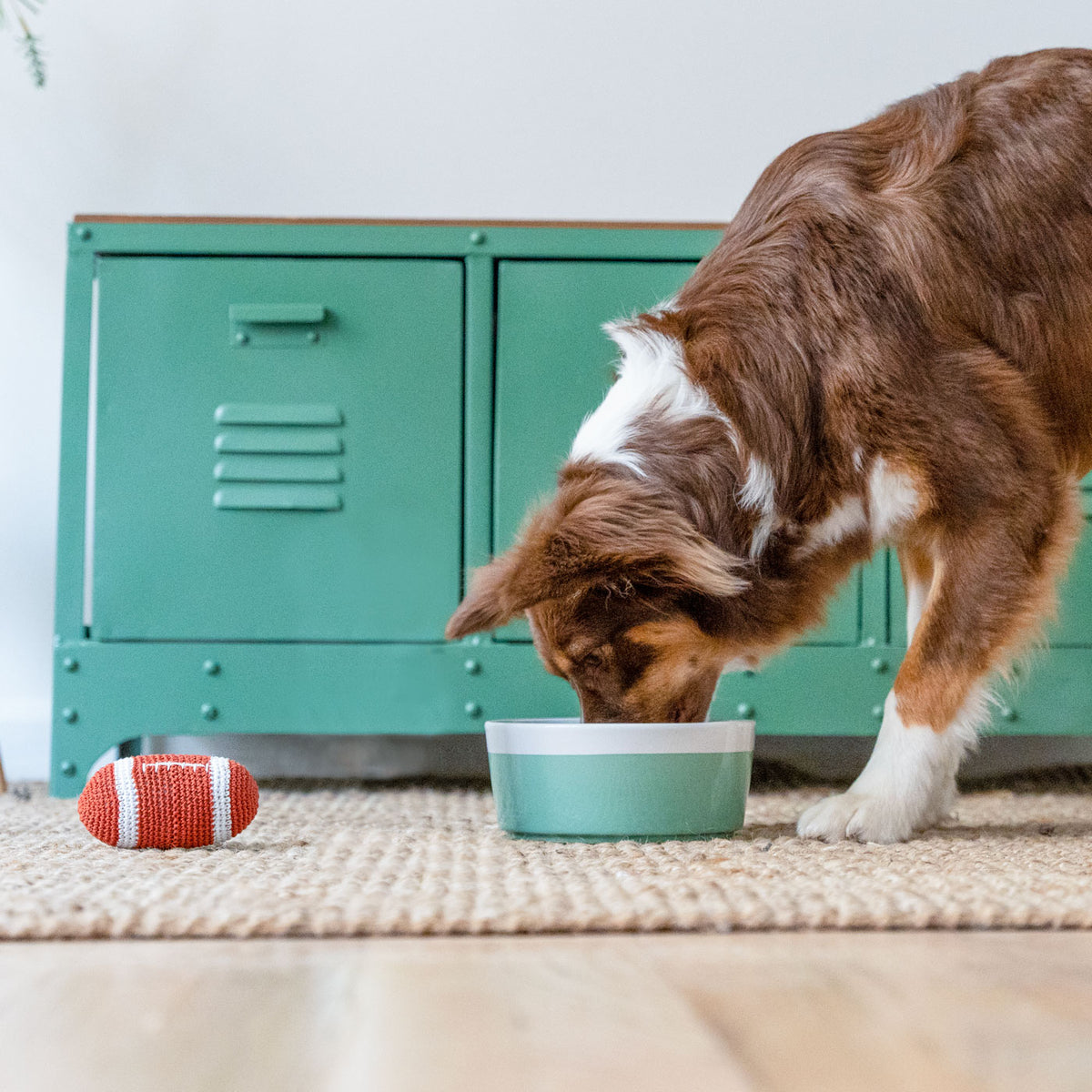 The Science Behind Oxygene® (Stabilized Chlorine Dioxide)