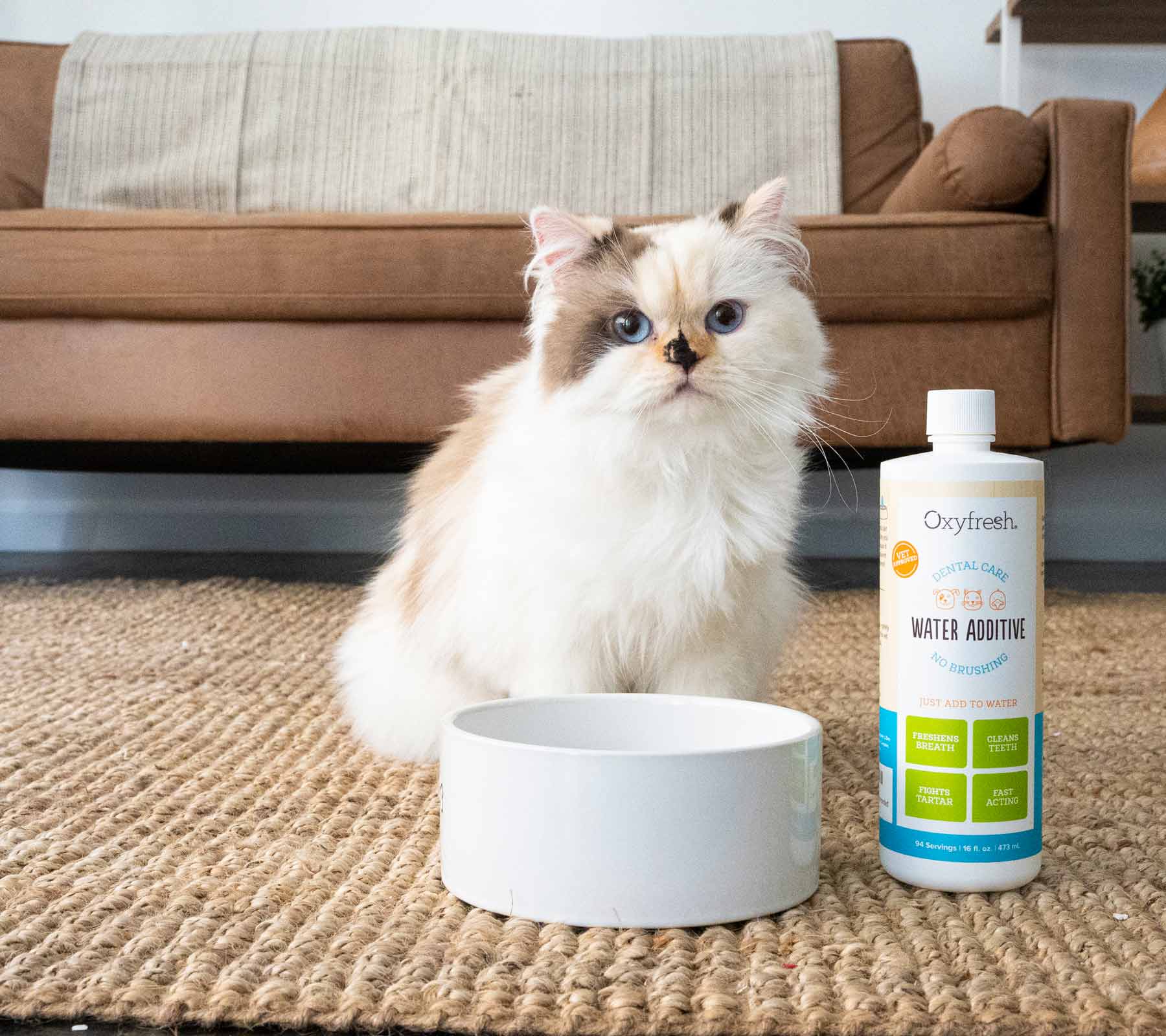 fluffy cat sittin on the living room floor next to oxyfresh cat water additive and a bowl