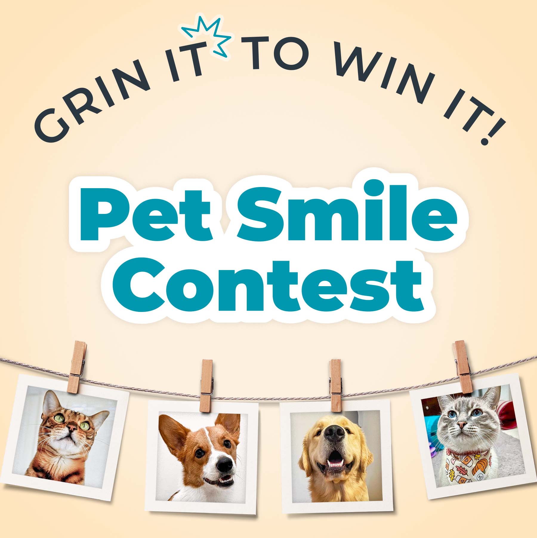grin-to-win-pet-smile-contest