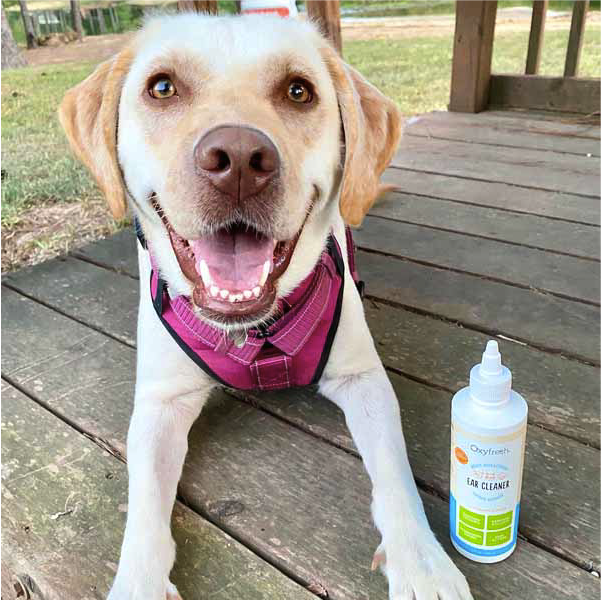 instagram-_liberty_not_mutual_-adorable-puppy-next-to-oxyfresh-ear-cleaner-for-dogs-and-cats