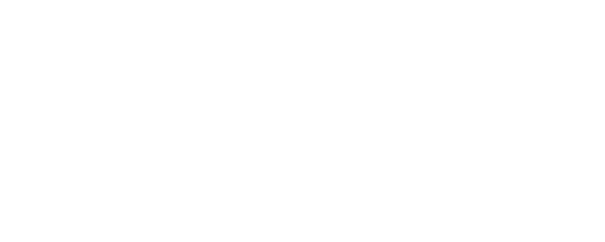 modern cat logo
