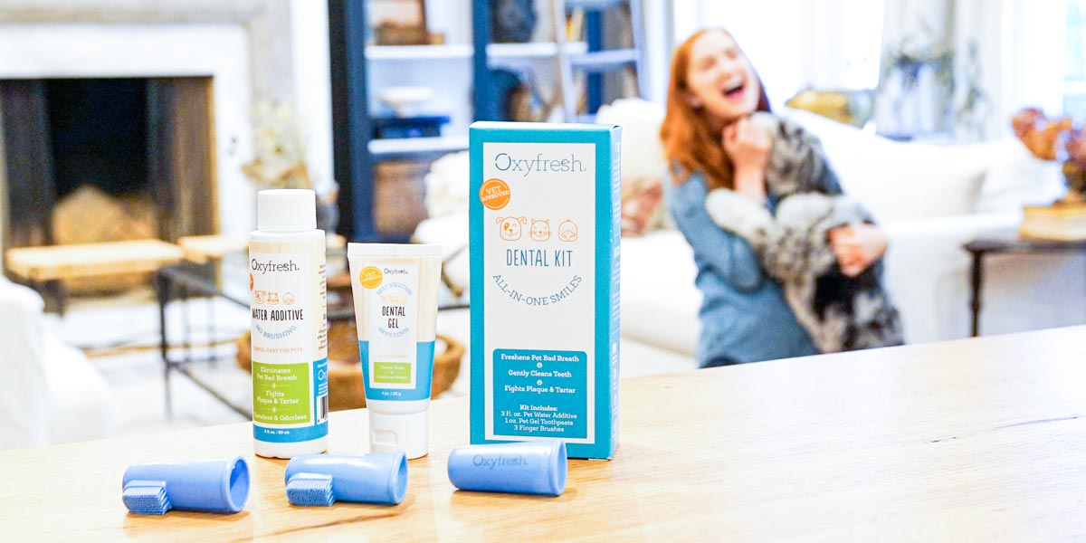 oxyfresh-pet-dental-kit-components-on-the-counter-in-front-of-woman-and-her-labradoodle-playing-in-the-background-in-a-light-airy-home