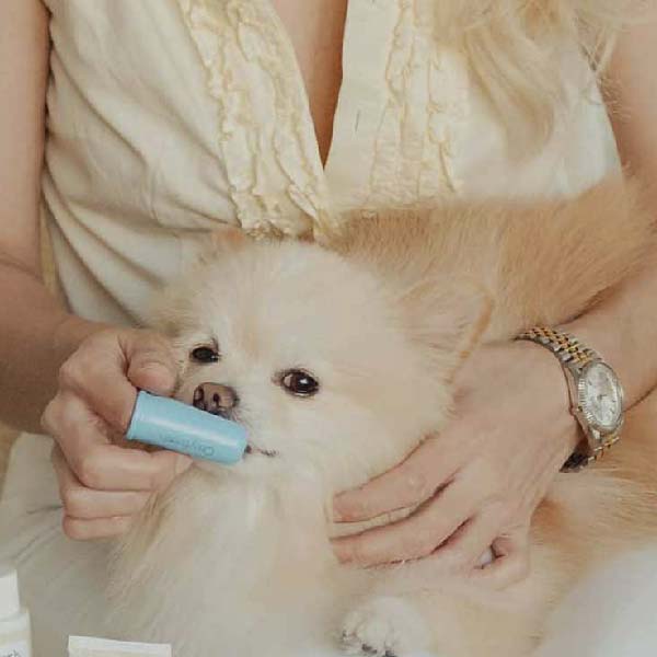 oxyfresh-pet-finger-brushes_insta-_kamillamatthews-woman-brushing-pomeranians-teeth-with-oxyfresh-pet-finger-toothbrush