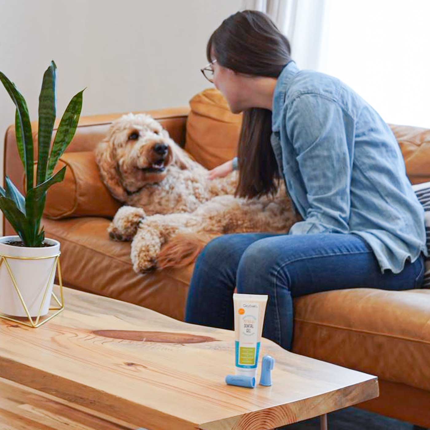 oxyfresh-pet-toothpaste-gel-for-dogs-cats