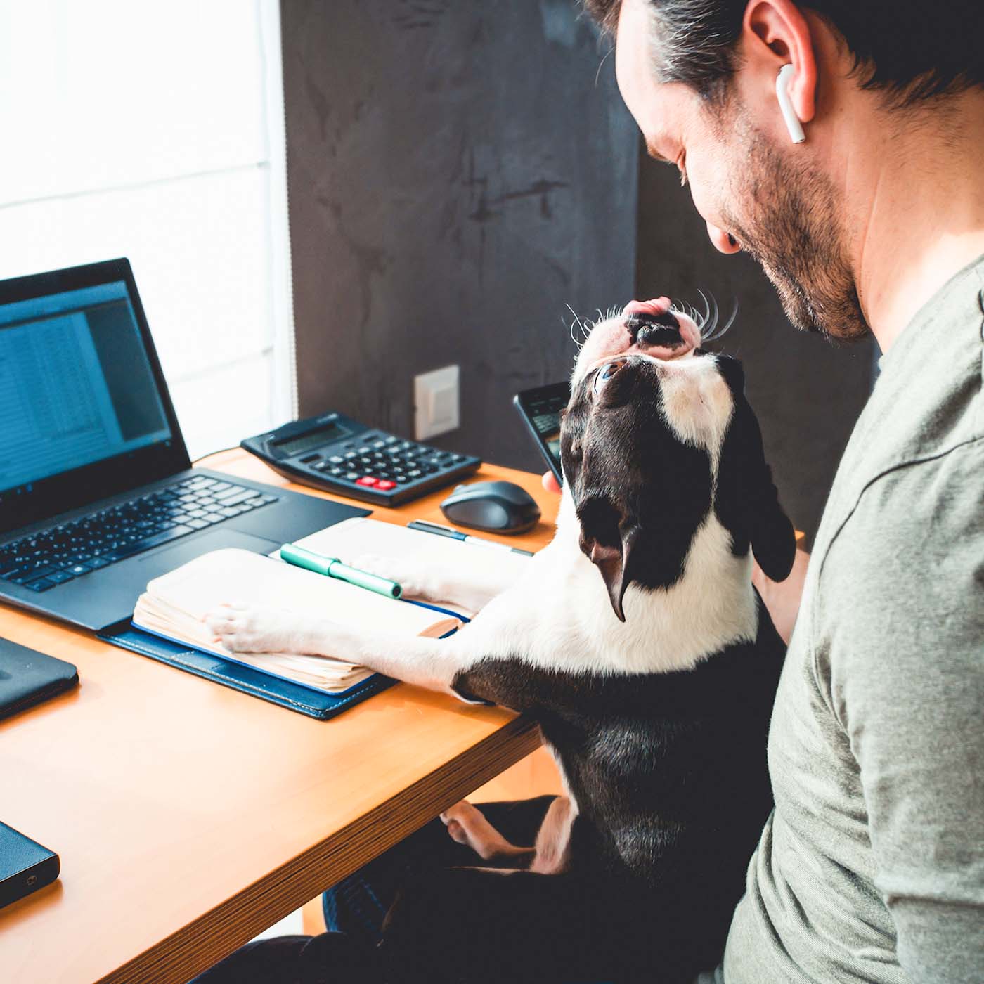dog playfully interrupting a man's computer work at the desk sitting on his lap