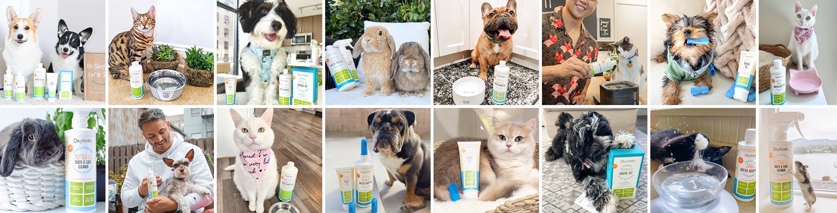 collage of instagram photos where our fans' pets are using oxyfresh pet products