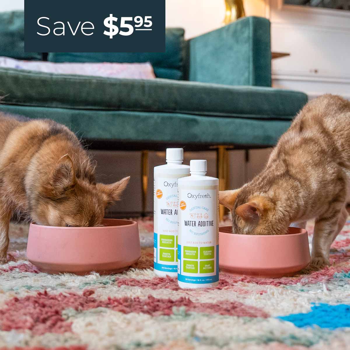 cat and dog drinking out of their water bowls with oxyfresh pet water additive for fresh breath and reduced plaque 