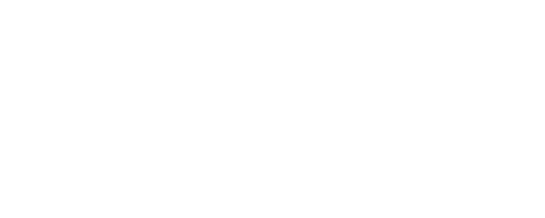 pet-age-logo