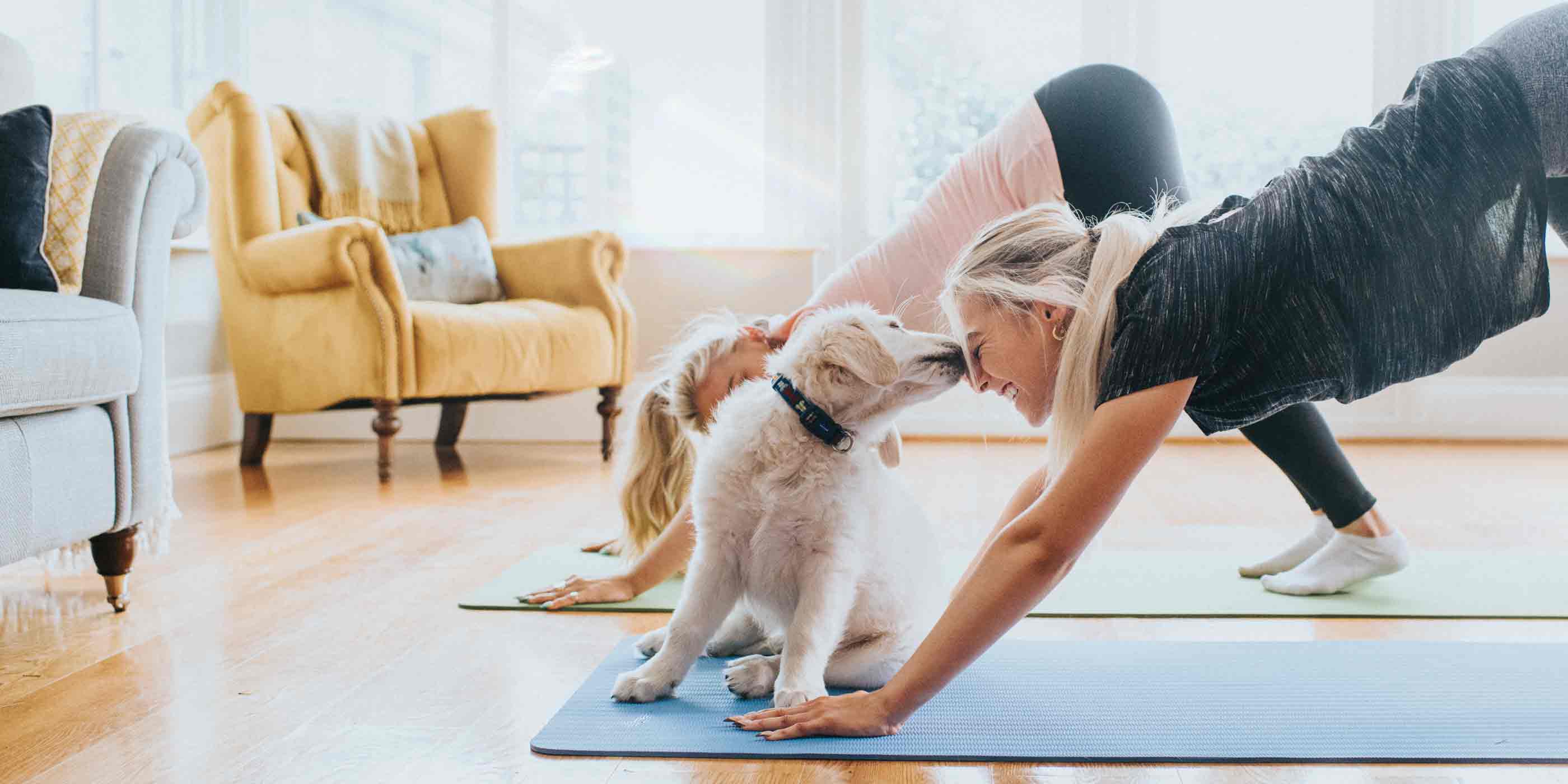 puppy-giving-kisses-to-smiling-young-woman-doing-yoga-pose-downward-dog-with-her-friend-in-a-light-modern-living-room