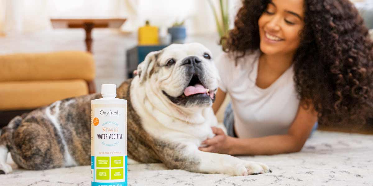 Oxyfresh best sale dog water