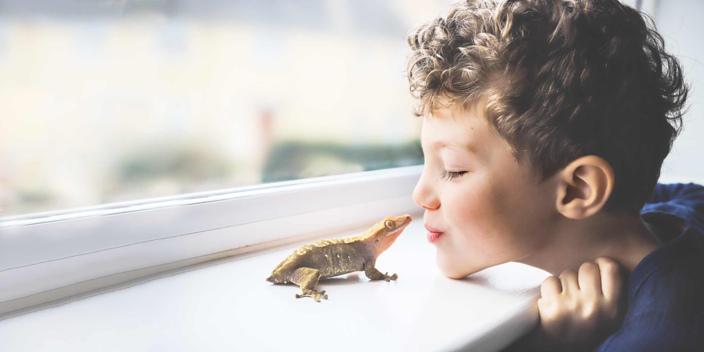 young-boy-looking-closely-at-his-amphibian-on-a-windowsill-while-his-mom-cleans-the-reptiles-terrarium