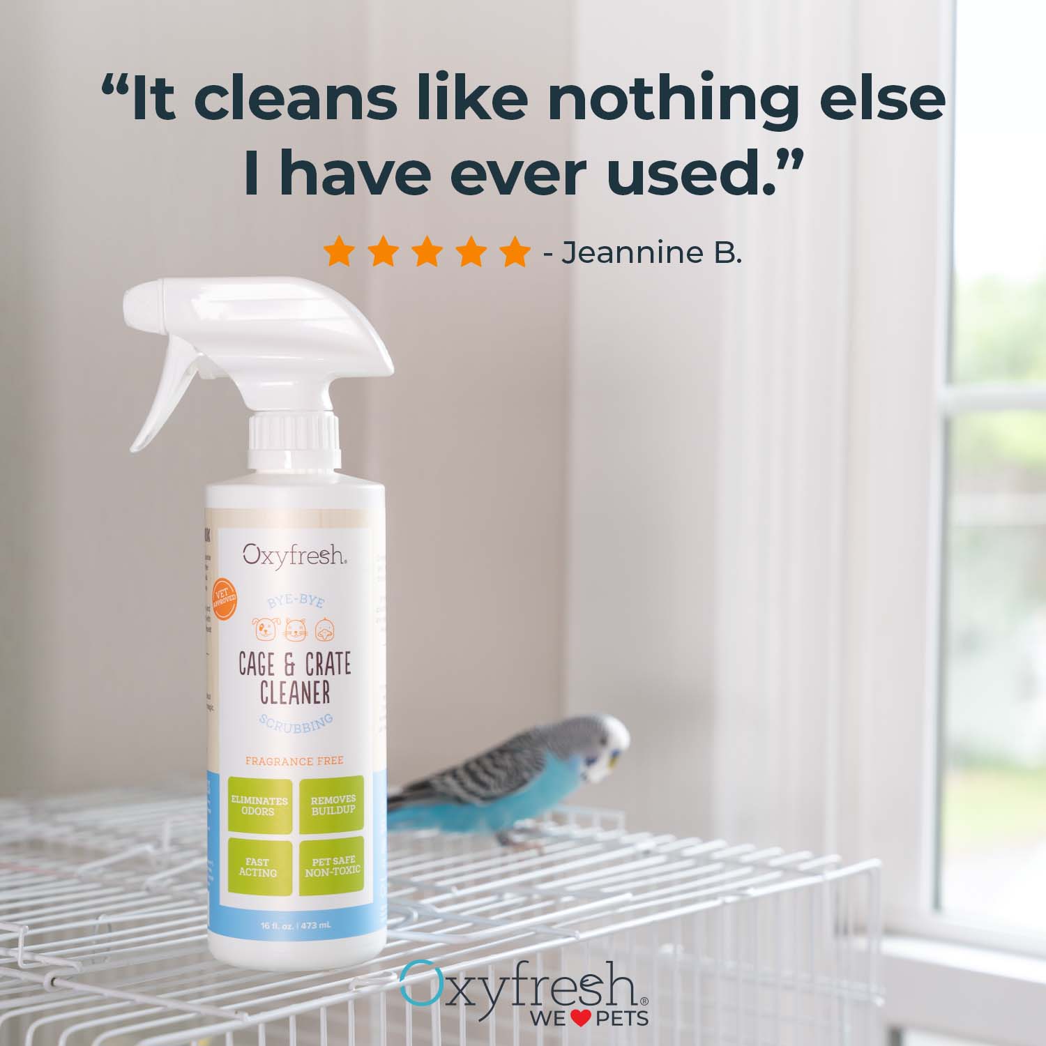 oxyfresh-pet-cage-and-crate-cleaner-review-"It-cleans-like-nothing-else-I-have-ever-used."