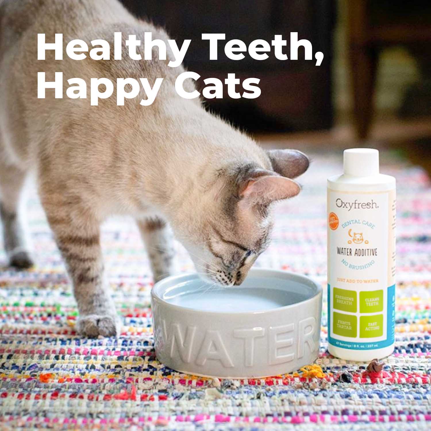 Oxyfresh cat water additive healthy teeth happy cats cat drinking water and additive for fresh cat breath