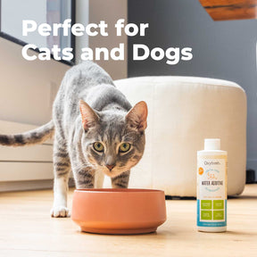 Oxyfresh cat water additive perfect for cats and dogs cat going for a drink for fresh breath