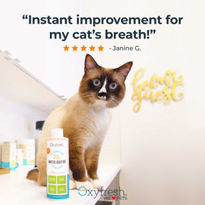 Oxyfresh cat water additive review says instant improvement for my cats breath 5 stars