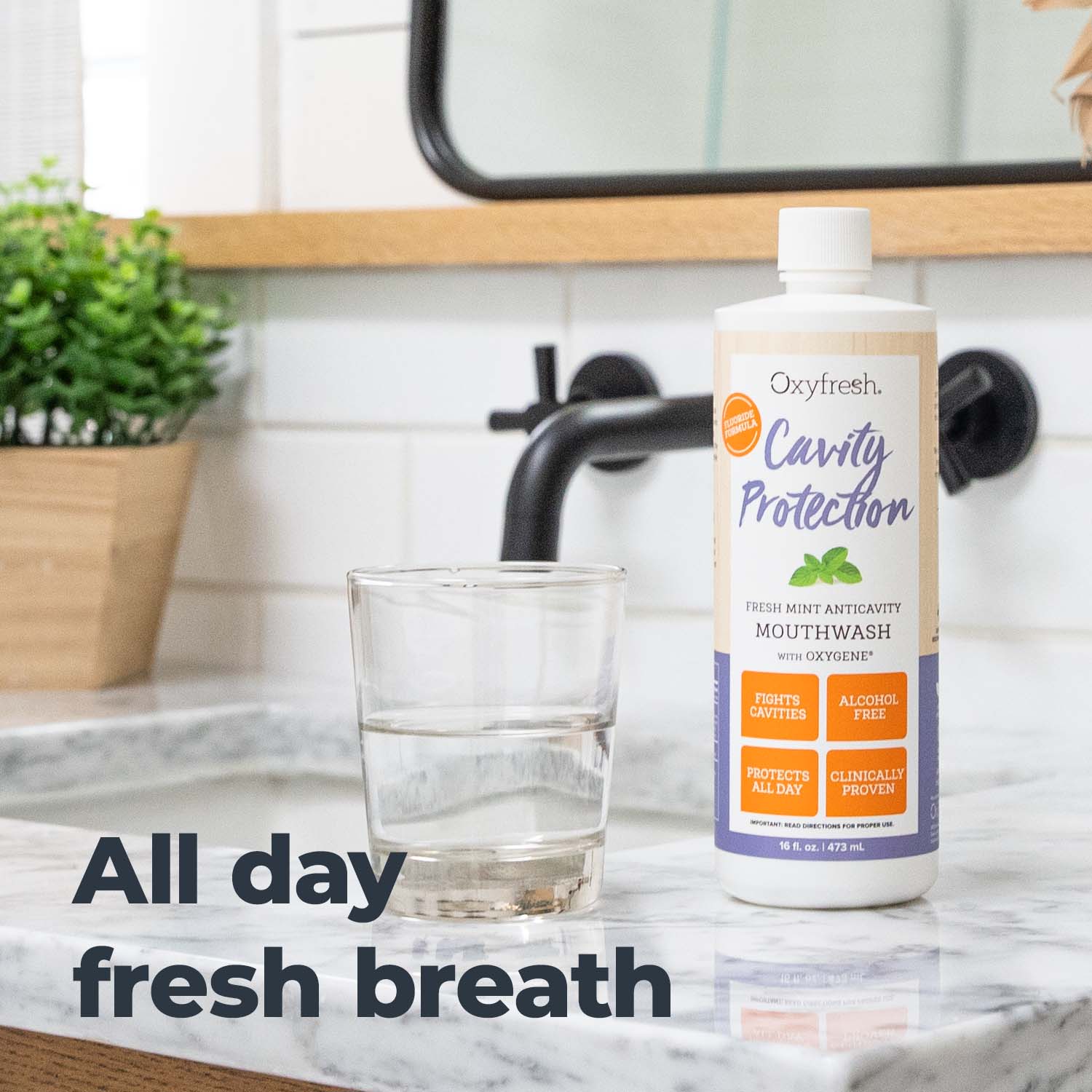 oxyfresh-cavity-protection-fluoride-mouthwash-all-day-fresh-breath