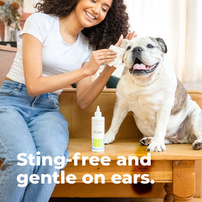 oxyfresh pet ear cleaner woman using dog ear cleaner solution on her bulldog with the words "Sting-free and gentle on ears."
