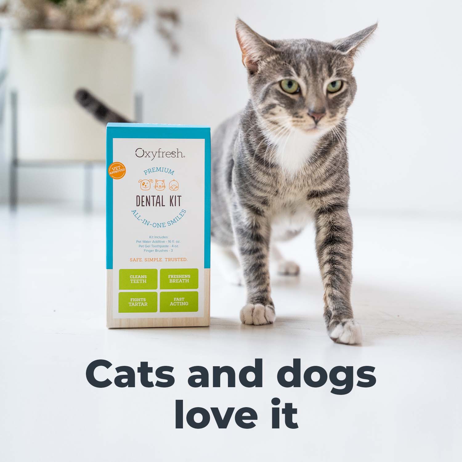 oxyfresh-dental-kit-cats-and-dogs-love-it