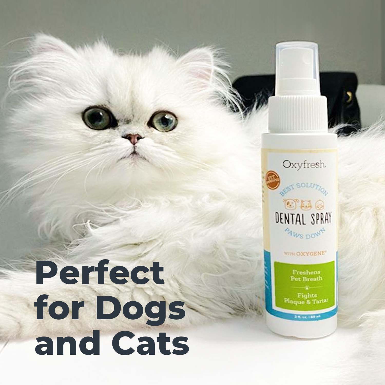 oxyfresh-dog-cat-breath-freshener-dental-spray