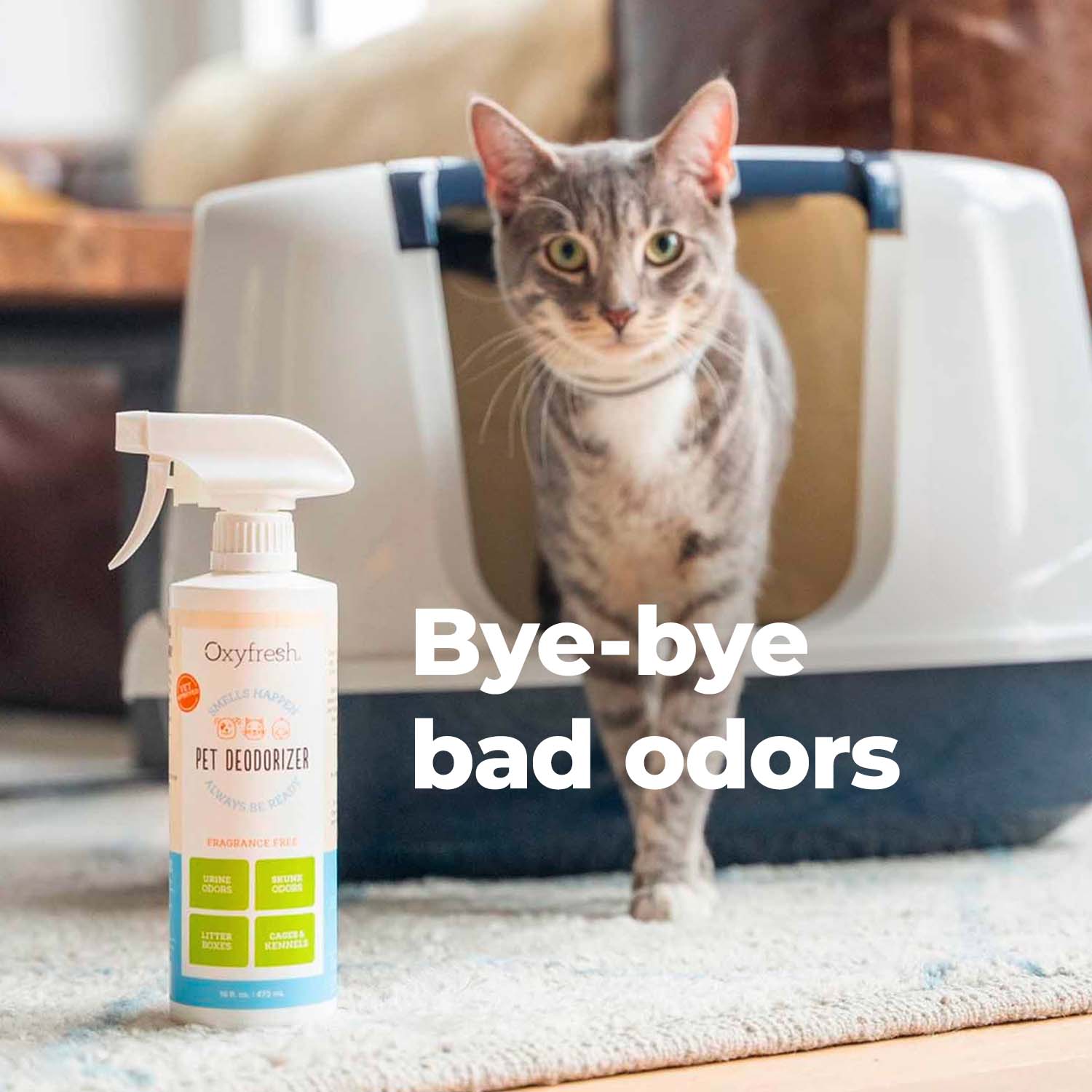 Cat deodorizer outlet spray