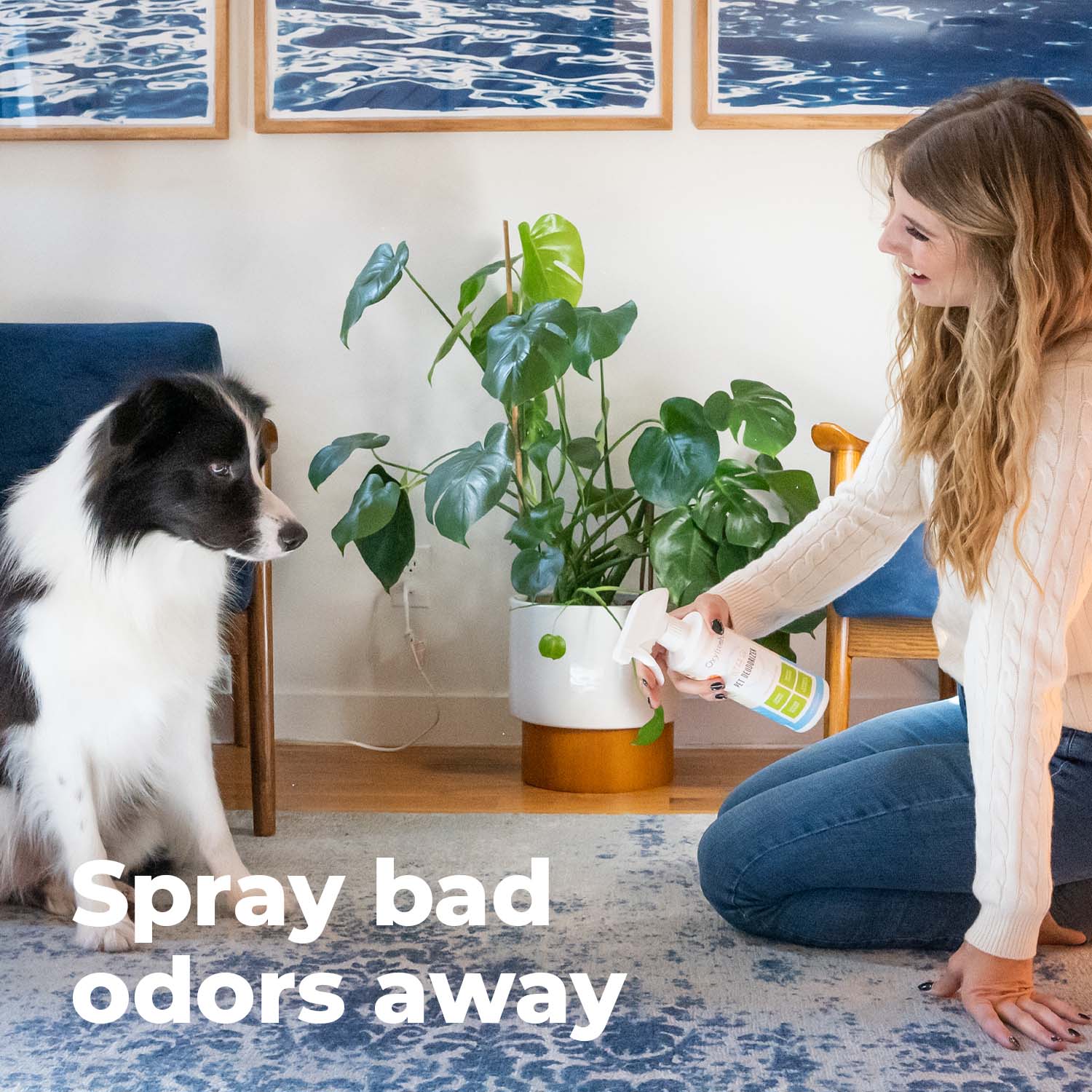 oxyfresh-advanced-pet-deodorizer-spray-allows-you-to-spray-bad-odors-away