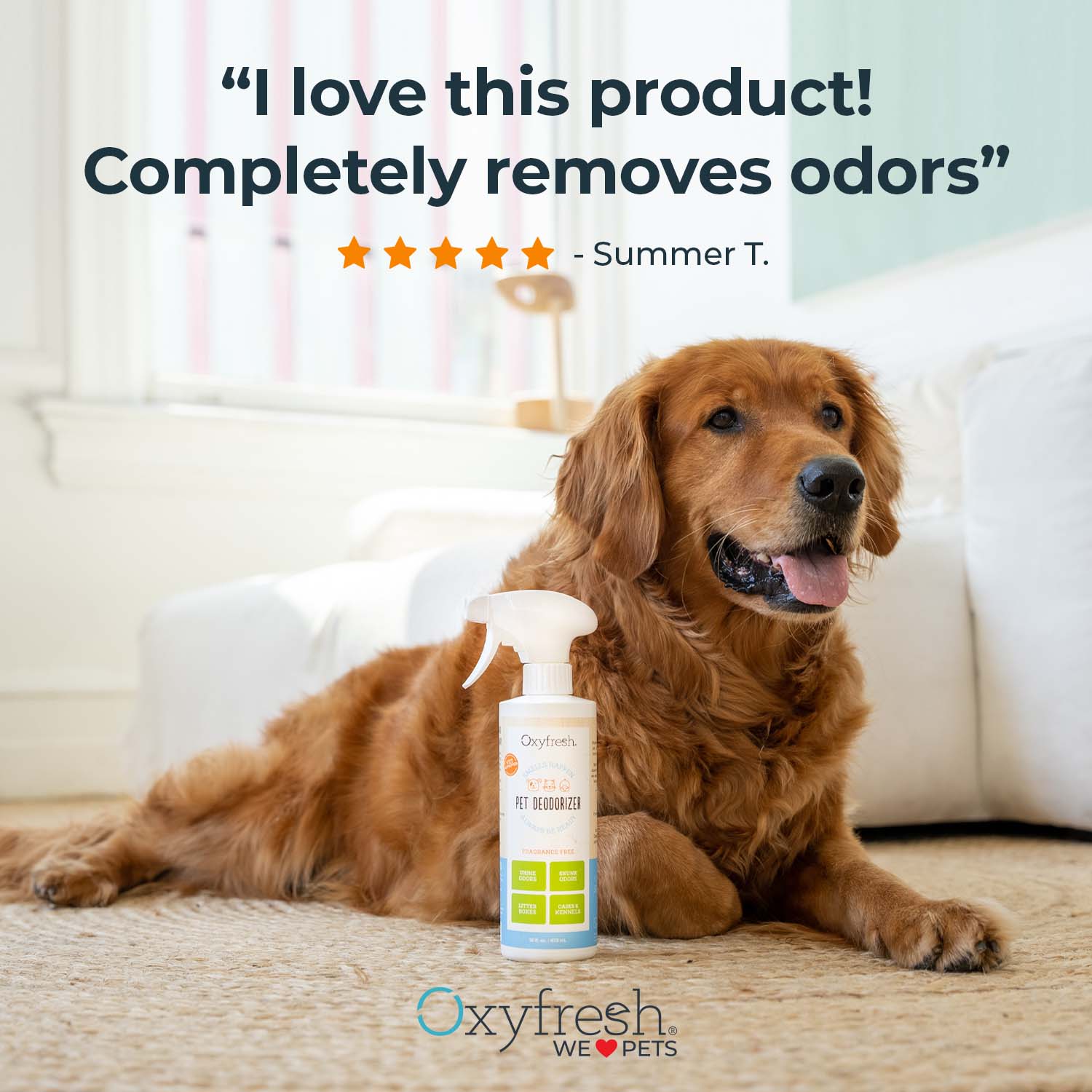 Dog odor outlet eliminator spray