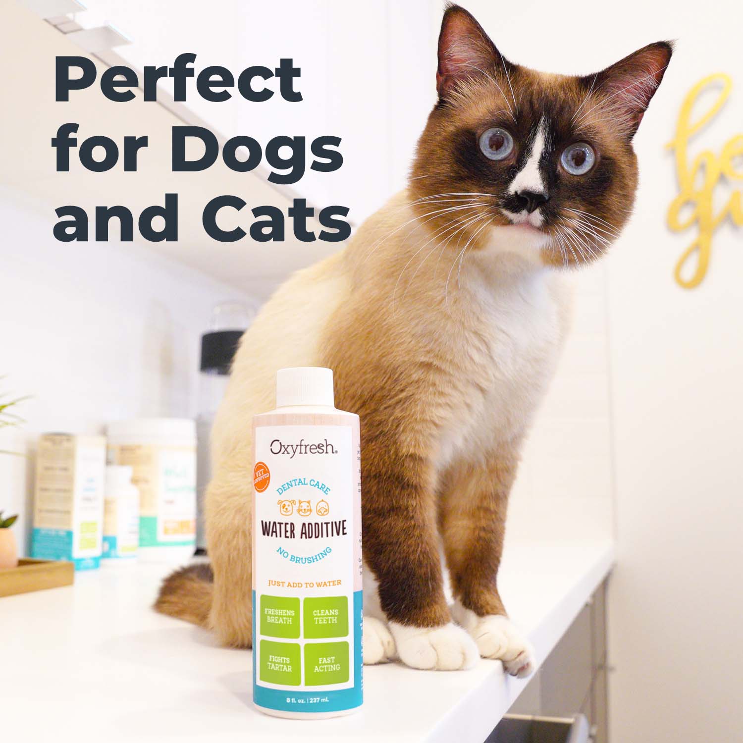 Oxyfresh dog & cat oral best sale hygiene solution