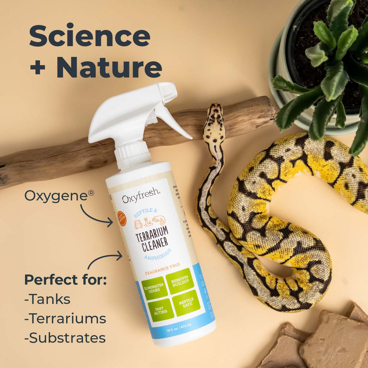 1 Terrarium Cleaner for Reptiles and Amphibians Bleach Free