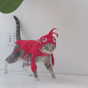 oxyfresh cat water additive with a cat dressed up like a crab with the words cat breath a little crabby? meet oxyfresh cat drinking water 
