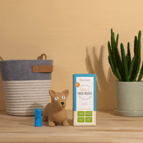 oxyfresh-finger-brush-usage