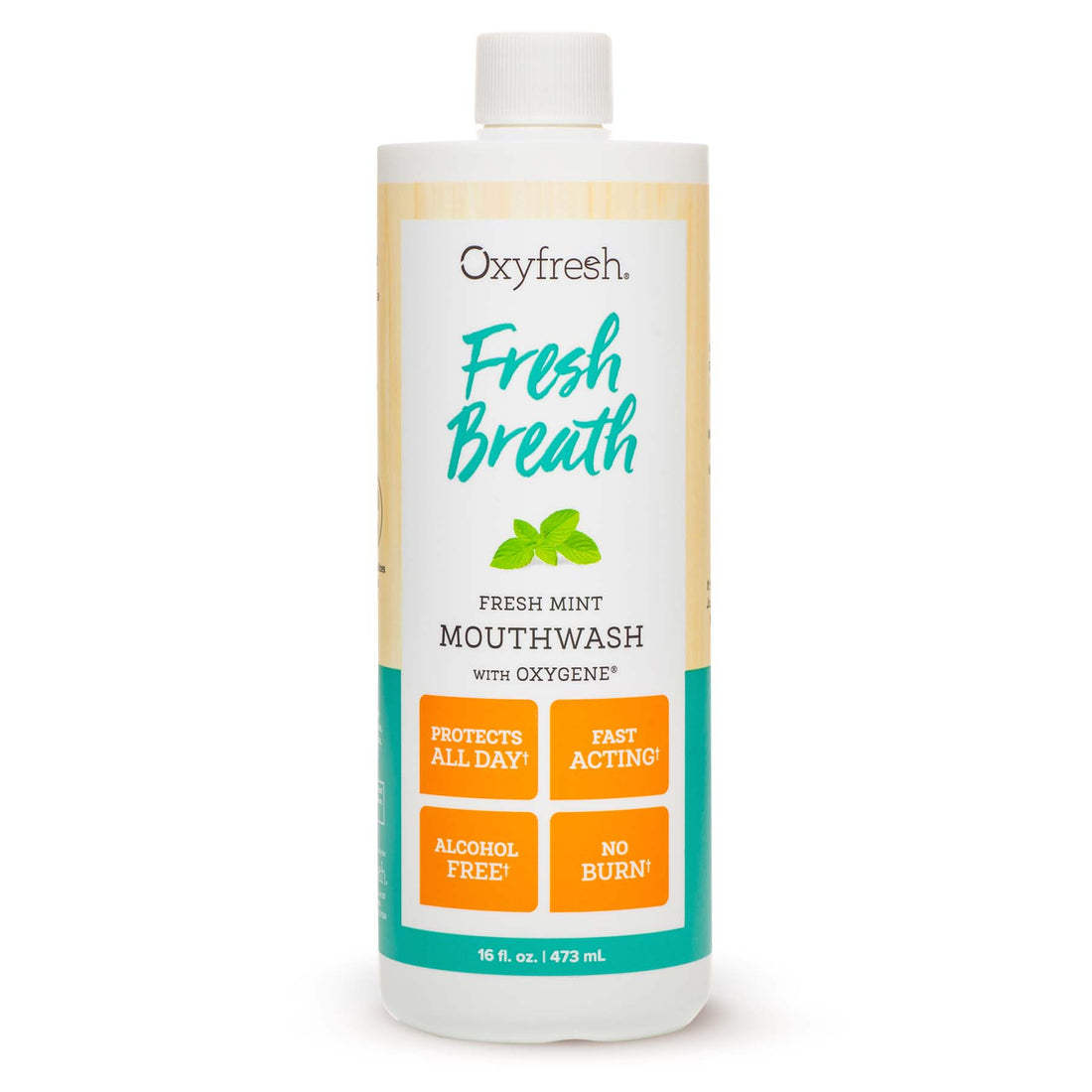 AlcoholFree Mouthwash for AllDay Fresh Breath Oxyfresh